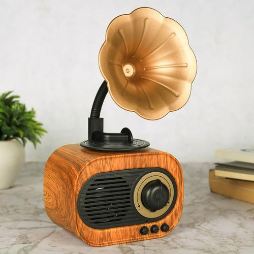 Gramophone USB bluetouth Radio 📻
